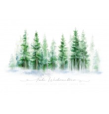 970-8452, Weihnachtskarte