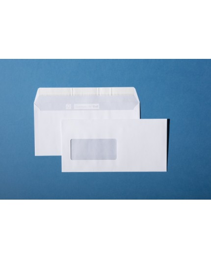 C5/6 mit Fenster links