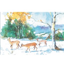 R-8339 Weihnachtskarte