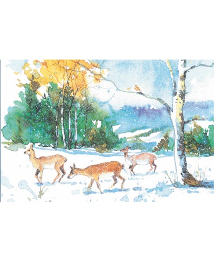 R-8339 Weihnachtskarte