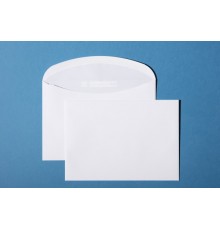 C5 OHNE FENSTER GUMMIERTE KLAPPE