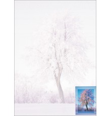 R-8663, Briefpapier Weihnachten