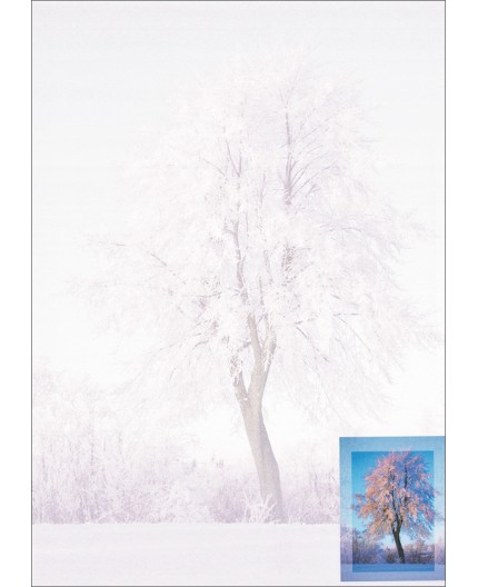 R-8663, Briefpapier Weihnachten