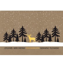 970-8688, Weihnachtskarte