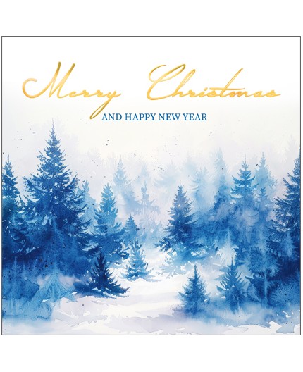 970-8718, Weihnachtskarte