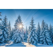 970-8738, Weihnachtskarte