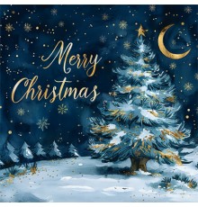 970-8740, Weihnachtskarte