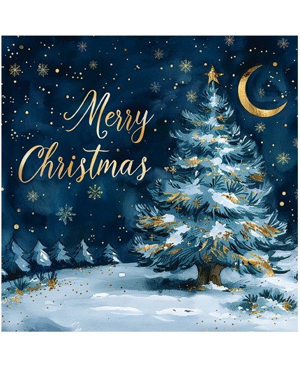 970-8740, Weihnachtskarte