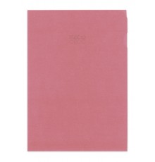 ORDO-MÄPPLI TRANSPARENT ROT