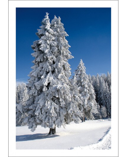 R-970-7801  Weihnachtskarte