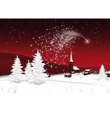 970-8149, Weihnachtskarte