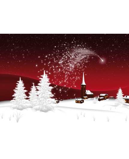 970-8149, Weihnachtskarte