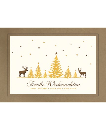 970-8293, Weihnachtskarte