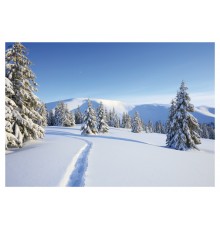 970-8579, Weihnachtskarte