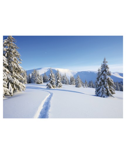 970-8579, Weihnachtskarte