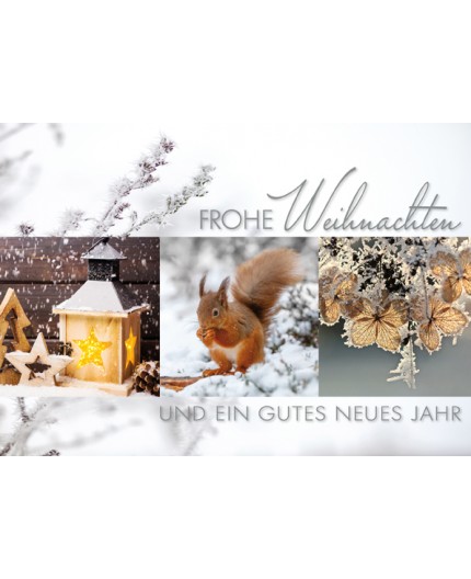 970-8281, Weihnachtskarte